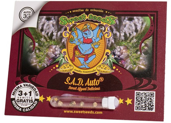 S.A.D. Sweet Afgani Delicious Auto x4 Sweet Seeds