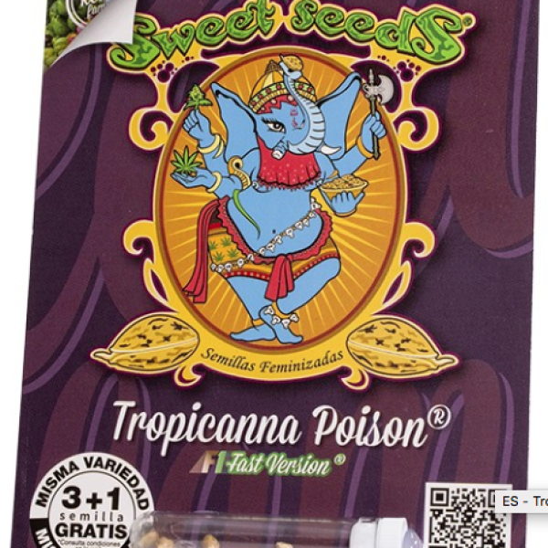 Tropicana Poison F1 Fast x4 Sweet Seeds