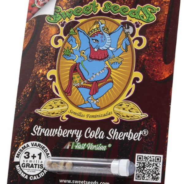 Strawberry Cola Sherbet F1 Fast x4 Sweet Seeds