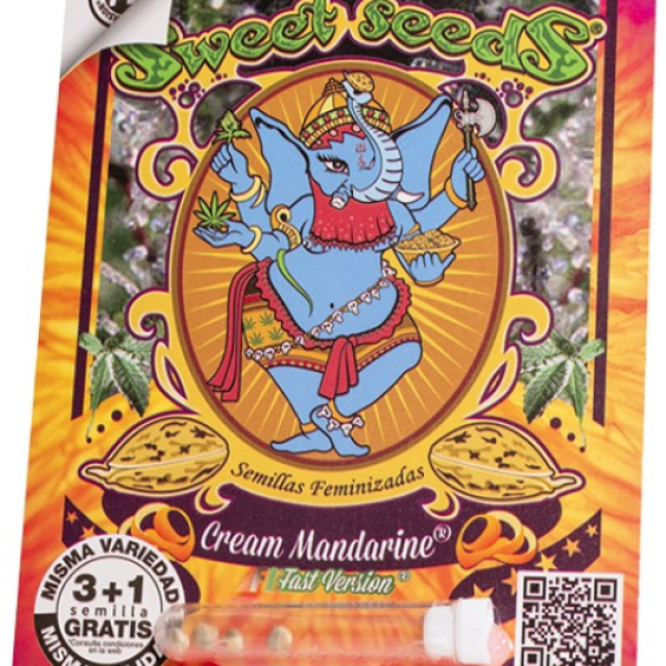Cream Mandarine F1 Fast x4 Sweet Seeds