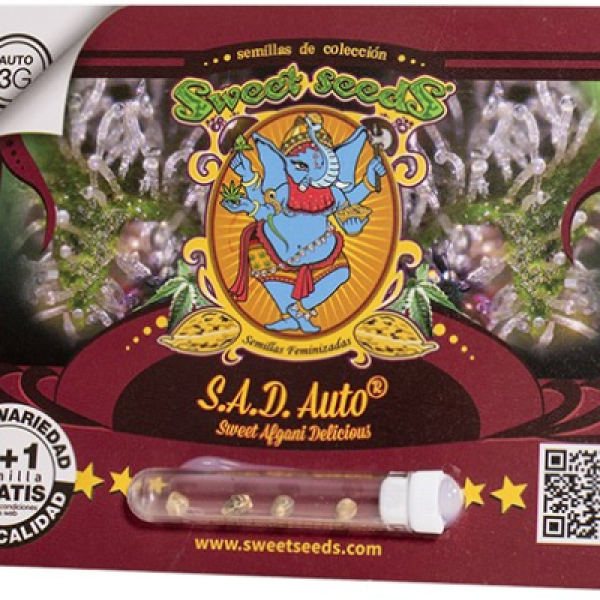 S.A.D. Sweet Afgani Delicious Auto x4 Sweet Seeds