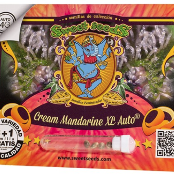 Cream Mandarine XL Auto x4 Sweet Seeds