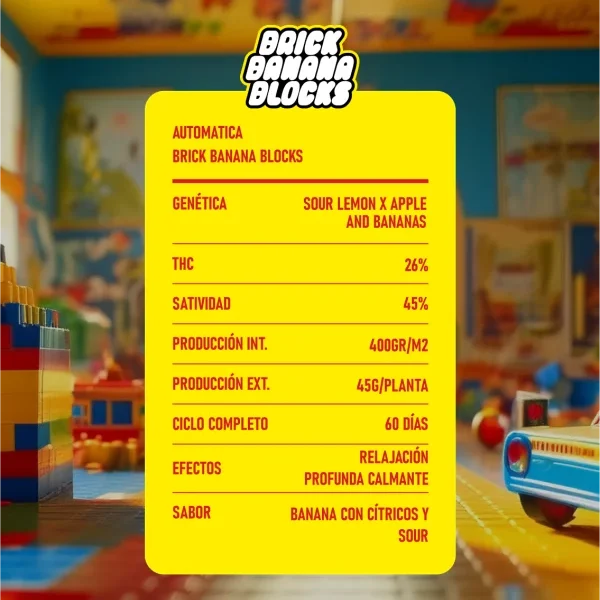 Brick Banana Blocks Auto x2 High Breed Seeds